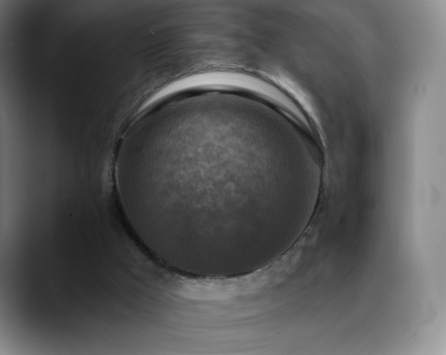 X0000090440009200707131228