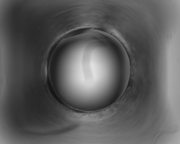 X0000090440011200707131228