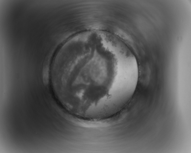 X0000090440012200707131228