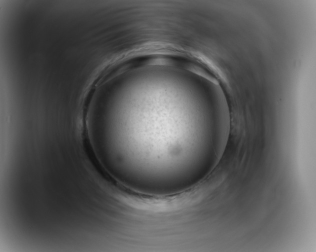 X0000090440015200707131228