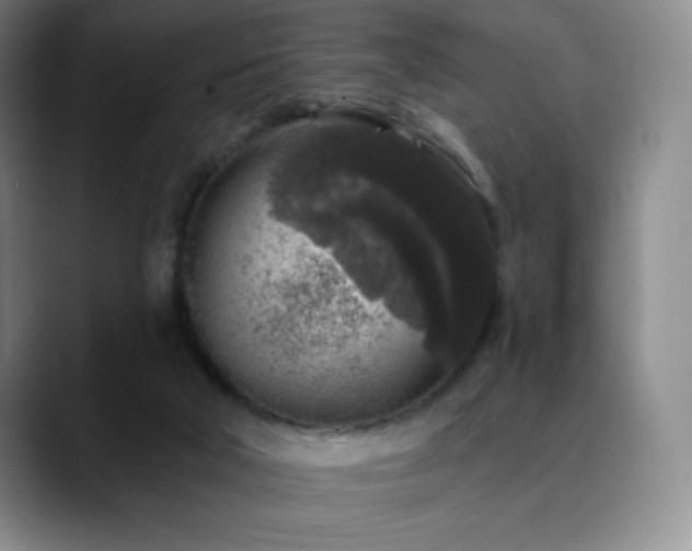 X0000090440018200707131228