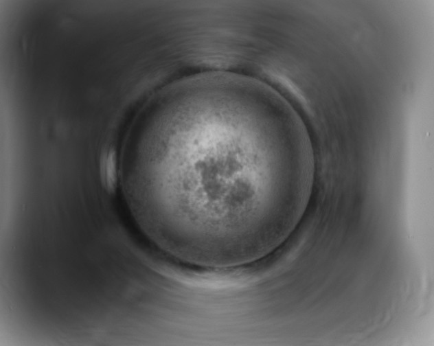 X0000090440020200707131228