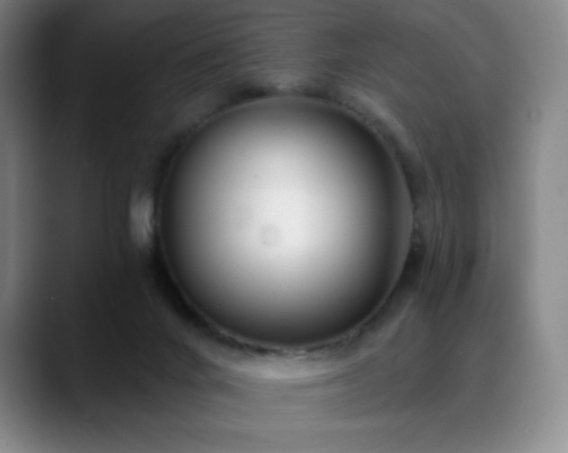 X0000090440024200707131228