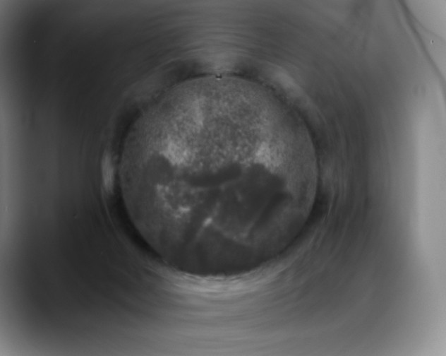 X0000090440026200707131228