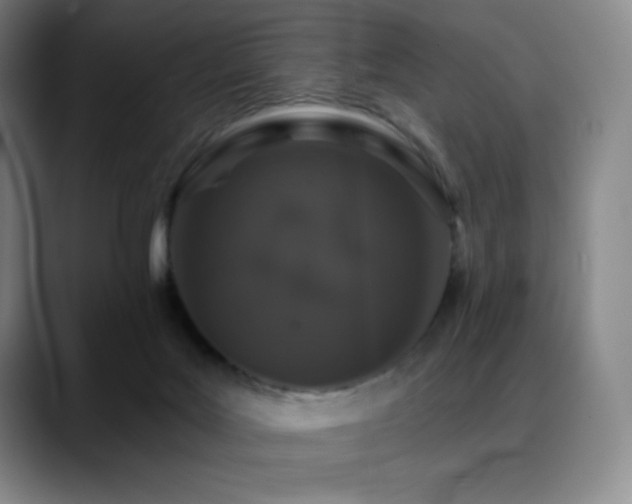 X0000090440027200707131228