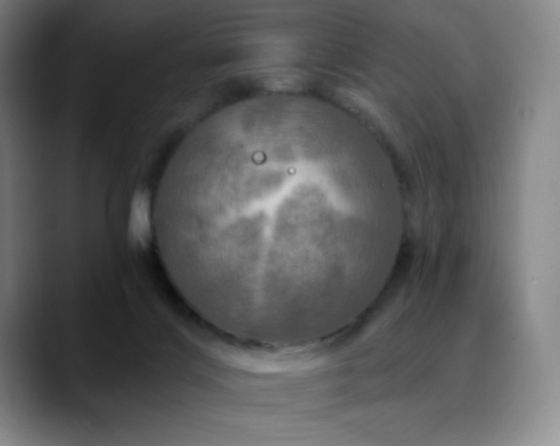 X0000090440028200707131228