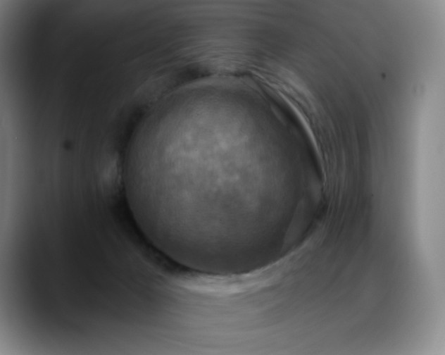 X0000090440029200707131228