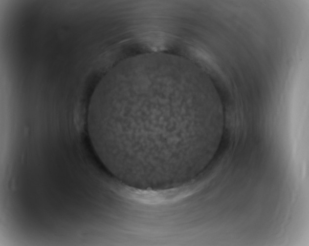 X0000090440030200707131228