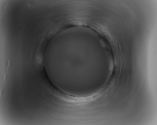 X0000090440031200707131228