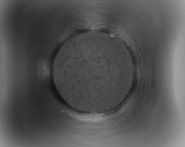 X0000090440032200707131228