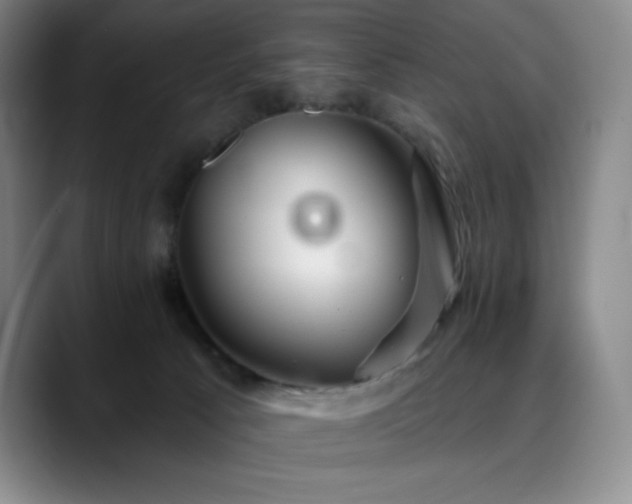 X0000090440033200707131228