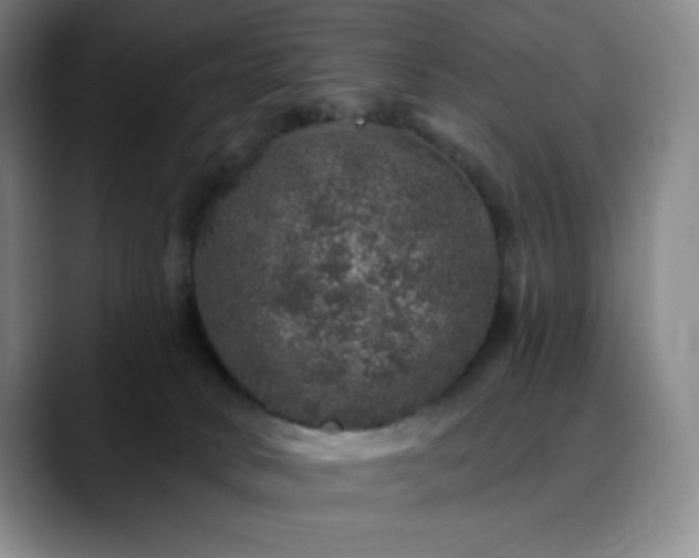 X0000090440034200707131228