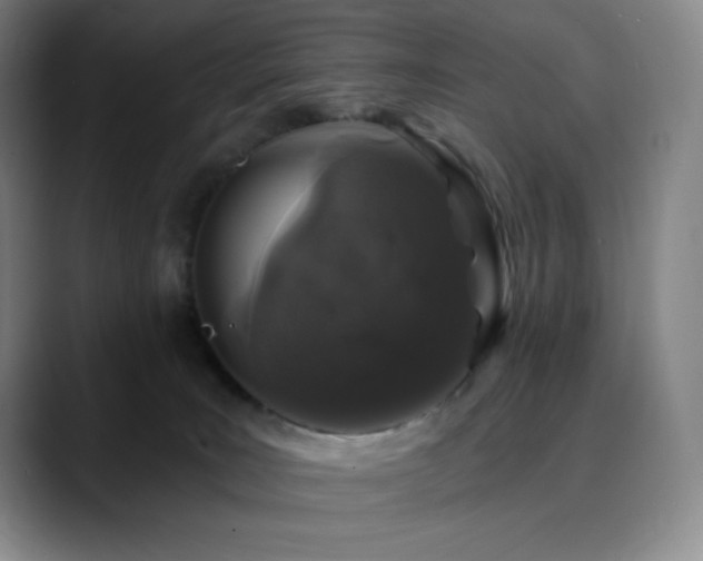 X0000090440035200707131228