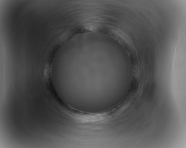 X0000090440036200707131228