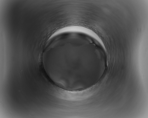 X0000090440039200707131228