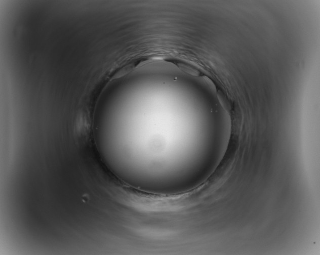 X0000090440040200707131228