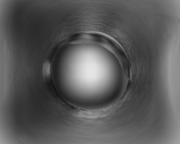 X0000090440041200707131228