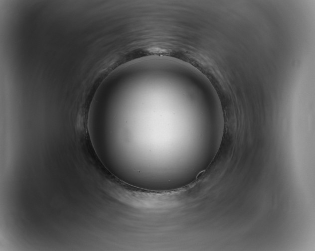 X0000090440044200707131228