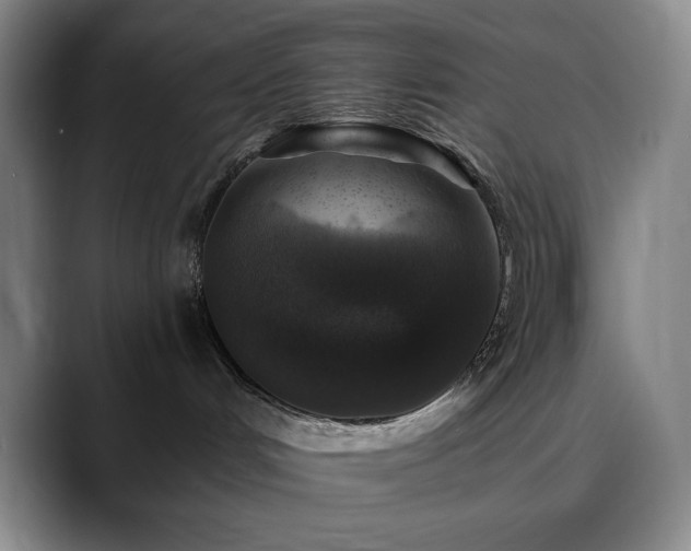 X0000090440048200707131228