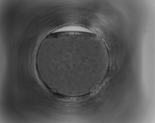 X0000090440049200707131227