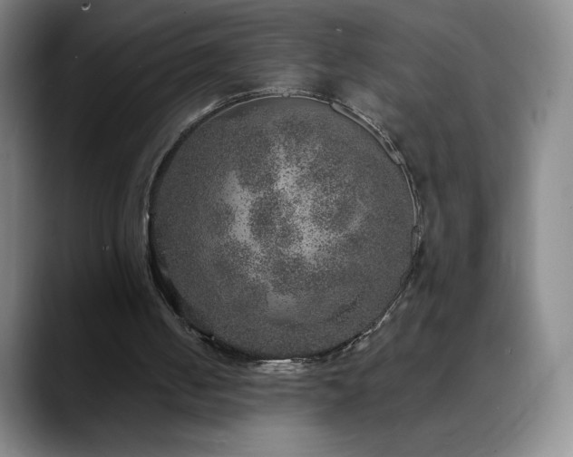 X0000090440050200707131227