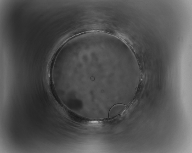 X0000090440053200707131227