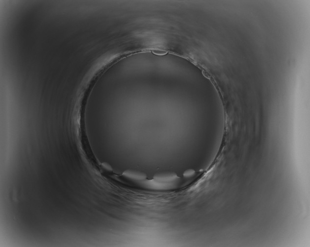 X0000090440054200707131227