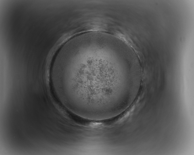 X0000090440055200707131227