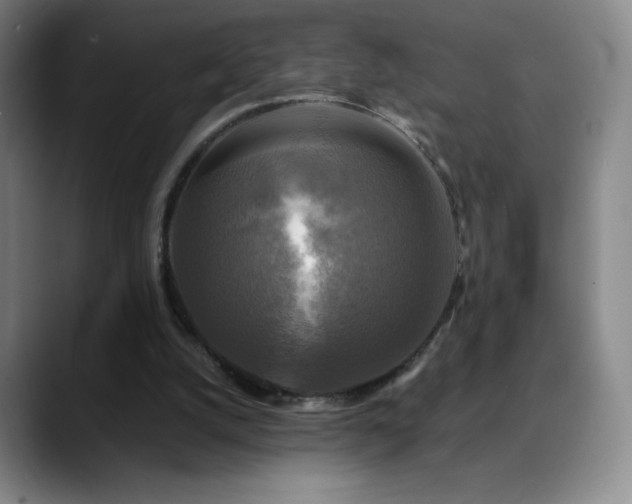 X0000090440056200707131227