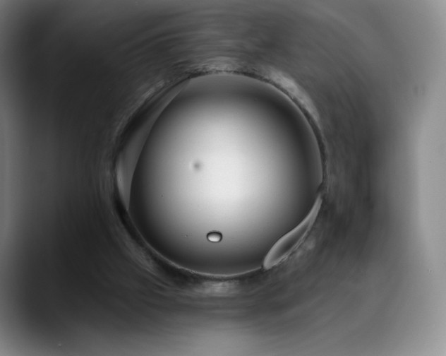 X0000090440057200707131227