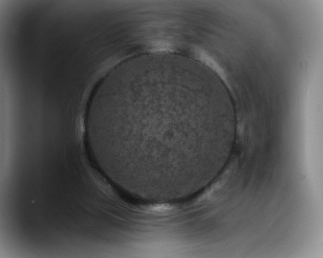 X0000090440059200707131227