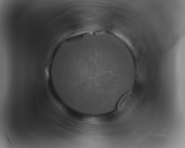 X0000090440062200707131227