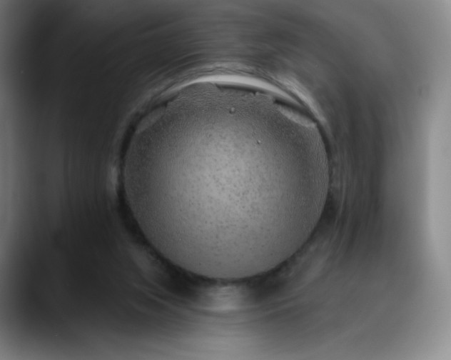 X0000090440063200707131227