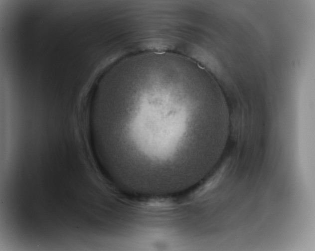 X0000090440064200707131227