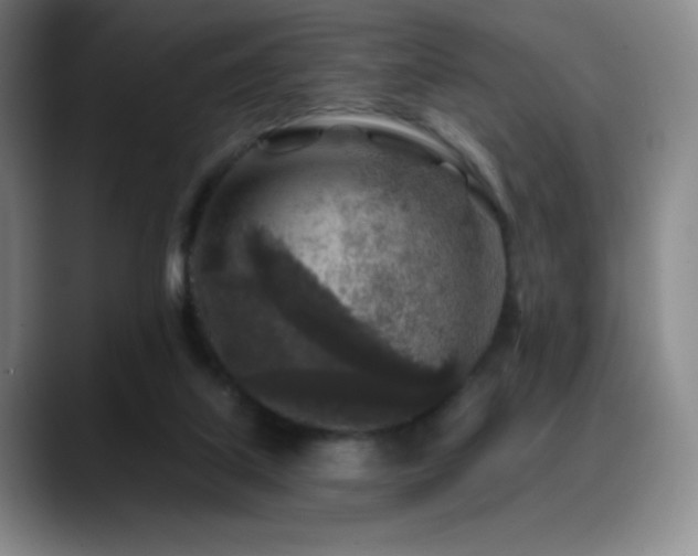 X0000090440067200707131227