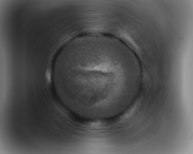 X0000090440068200707131227