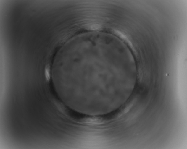 X0000090440069200707131227