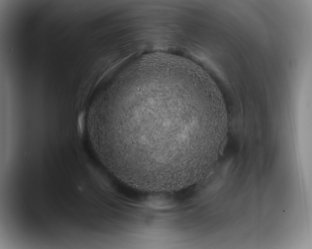 X0000090440070200707131227