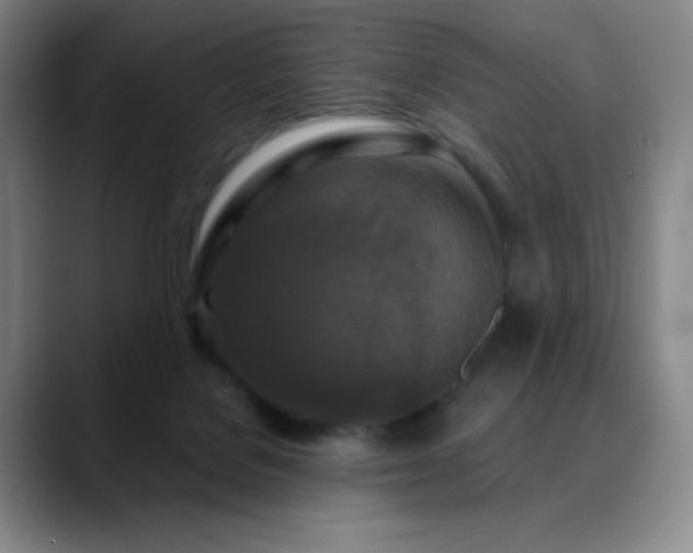 X0000090440076200707131227