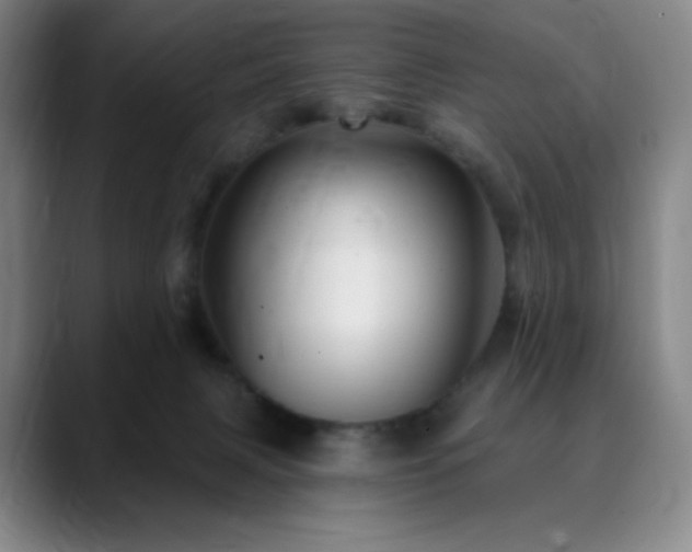 X0000090440079200707131227