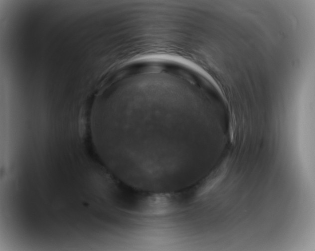 X0000090440080200707131227