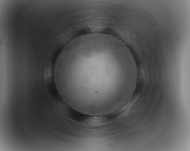 X0000090440082200707131227