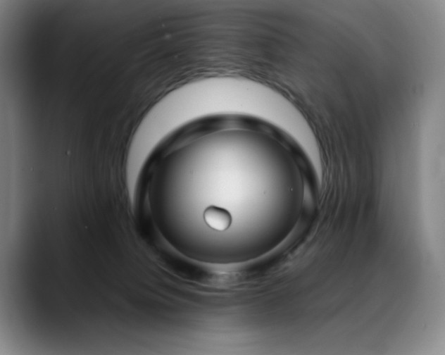 X0000090440084200707131227