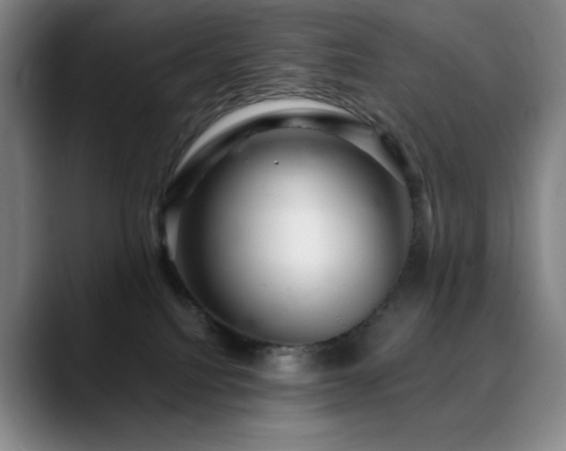 X0000090440088200707131227