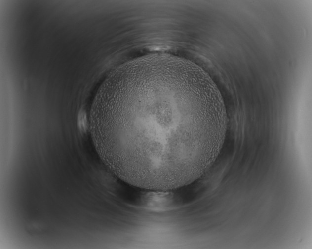 X0000090440089200707131227