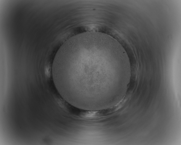 X0000090440090200707131227