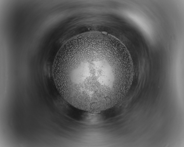 X0000090440093200707131228