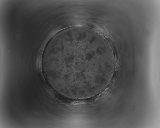 X0000090440099200707131227