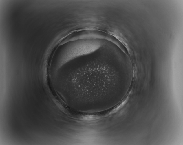 X0000090440101200707131227