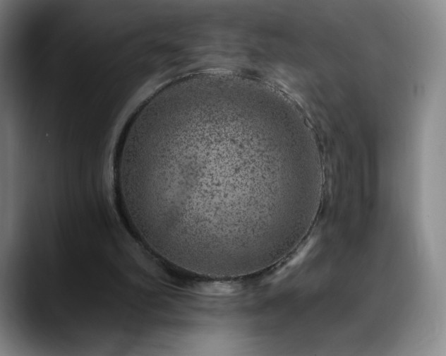 X0000090440102200707131227